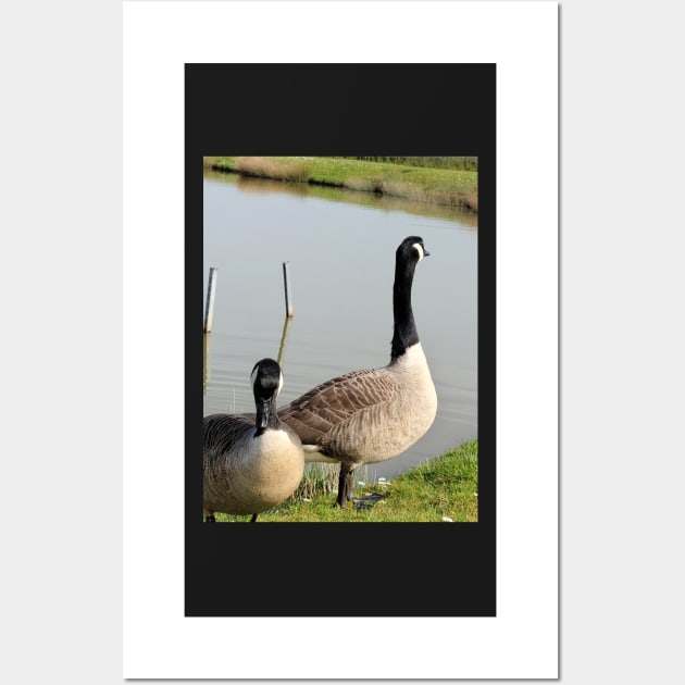 beautiful nature, wild geese, gift Wall Art by AnnaMartaFoley